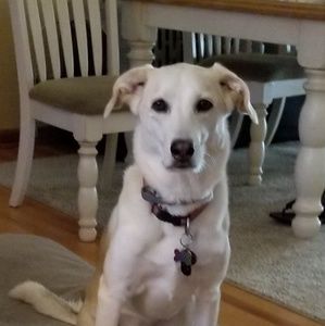 Meet your Posher, Marcia